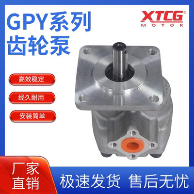 GPY齿轮泵高压油泵高压齿轮泵