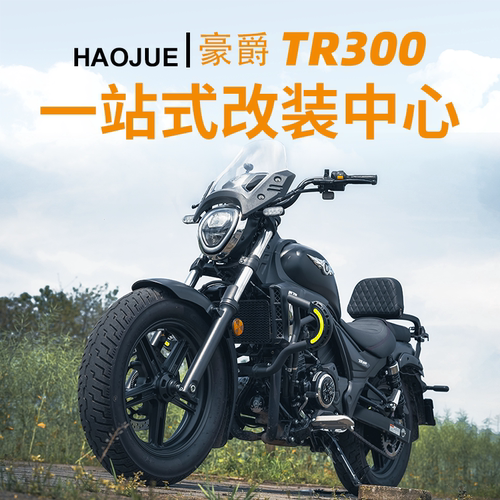 豪爵TR300摩托车改装配件保护杠保险杠折叠靠背货架边包配件适用