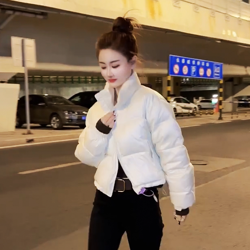 其他时尚短款立领羽绒服