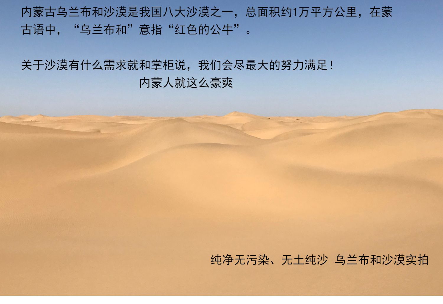 内蒙古沙漠纯天然沙子纯净无污染按吨批