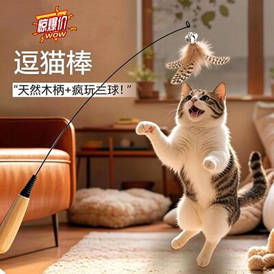 CFA赛级羽毛逗猫棒耐咬自嗨