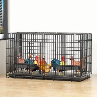 鸡笼子家用室内小号大号特大号铁笼子特价清仓鸡窝阳台折叠养殖笼