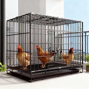 鸡笼子家用养殖笼具室内鸡舍免安装大号金属折叠笼室外养鸡专用笼
