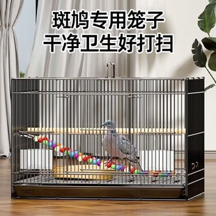 斑鸠鸟笼子斑鸠专用鸟笼养殖笼养斑鸠活鸟家养的笼子超大号繁殖窝