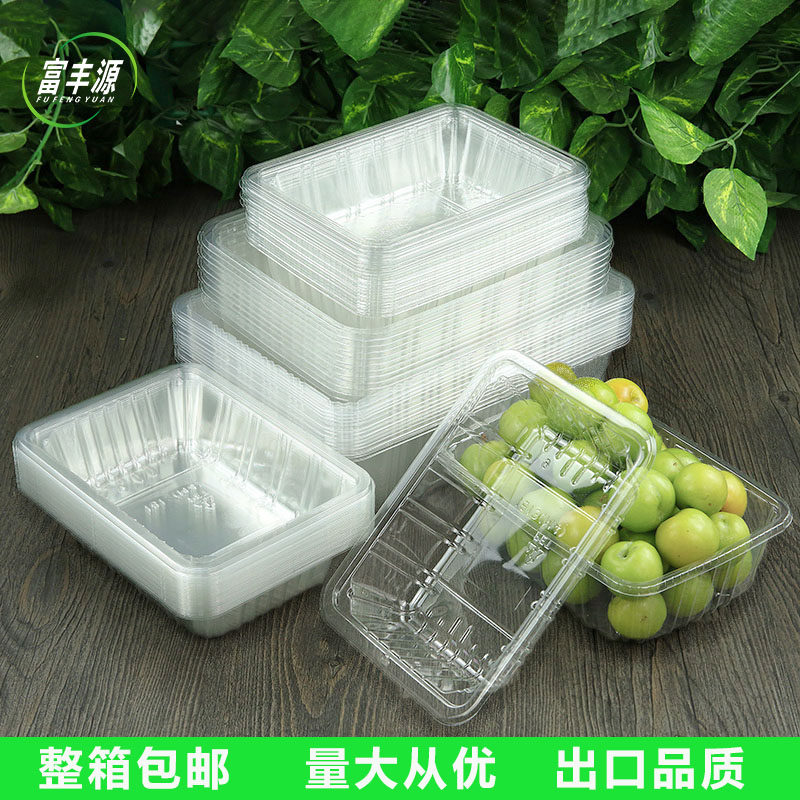 一次性水果打包盒透明无盖西瓜盒