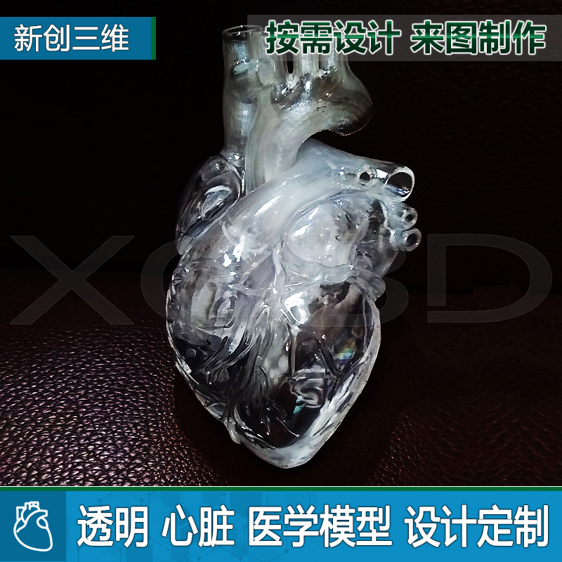 透明可拆装1比1心脏模型定制