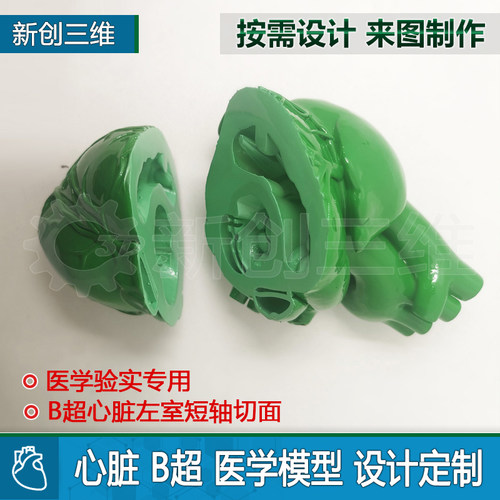 3d打印B超心脏切面模型心脏左心房室左心耳肝脏肾脏胃部医学定制