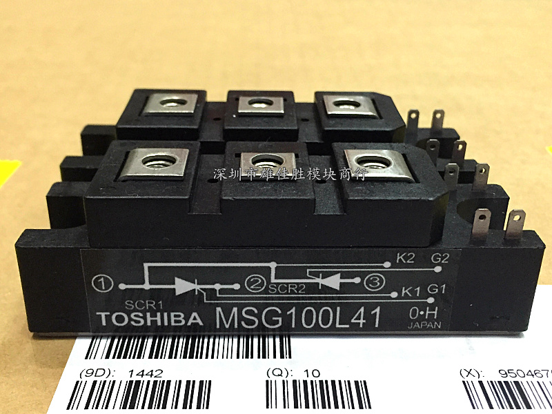 MSG60L41 MSG60L41A MSG100L41 MSG100L41A MSG60L41 MSB180S43C