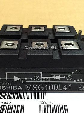 MSG60L41 MSG60L41A MSG100L41 MSG100L41A MSG60L41 MSB180S43C