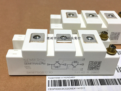 BSM75GB120DN2 SKM75GB123D SKM75GB128D SKM75GB12V