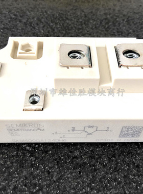 SKM300GA124DH6 SKM400GA124DH6 SKM500GA124DH6 SKM600 800