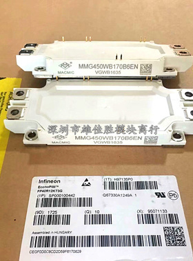 MMG450WB170B6EN MMG600WB170B6EN MMG450WB120B6TN MMG300WB170B