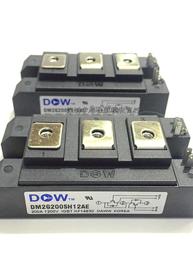 DM2G150SH12AE DM2G150SH12A DM2G200SH12A DM2G300SH12A