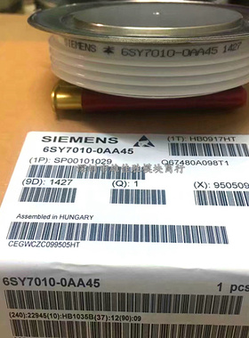 6SY7010-0AA41 0AA42 0AA45 0AA47 0AA49 0AA50 0AA52 晶闸管模块
