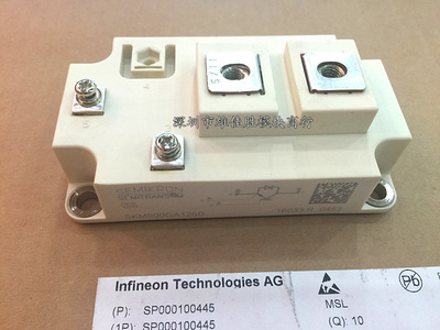 SKM600GA12E4 SKM600GA12T4 SKM600GA12V SKM600GA125D