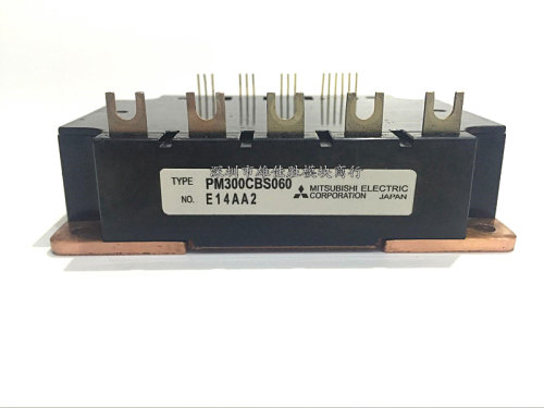 PM450CS1H060 PM300CBS060 PM200CBS060 PM150CBS060