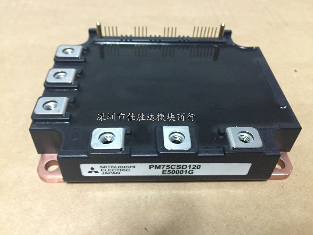 PM50CSD120 PM75CSD120 PM50RSD120 PM75RSD120