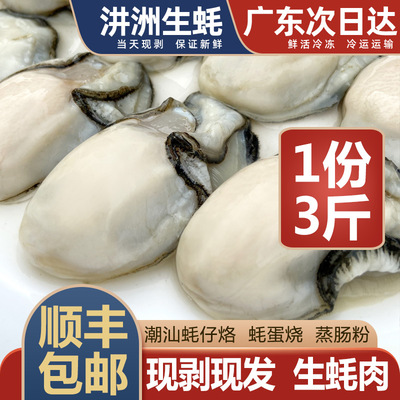 生蚝肉3斤3罐新鲜肥美