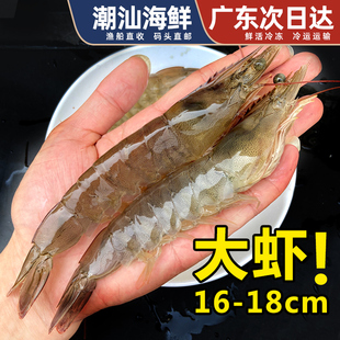 大虾超大对虾鲜活冷冻潮汕海鲜水产生鲜海水基围虾青虾明虾白刺虾