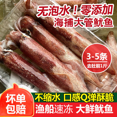 无泡水大鱿鱼一斤3-4条，5-6条