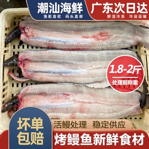 Река Угорь Черный Угорь Свежий замороженный морепродукт Белый угорь Свежий морайский угорь Чаошан Черный Угорь Барбекю Угорь