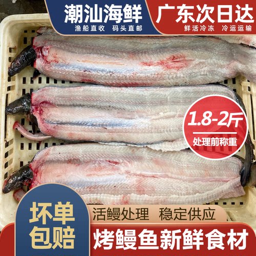 鳗鱼产地鲜活处理烤鳗鱼新鲜食材