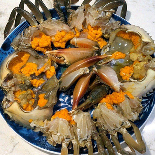 全母膏蟹潮汕海赤青蟹大红母海螃蟹红鲟海鲜水产2斤广东鲜活发货