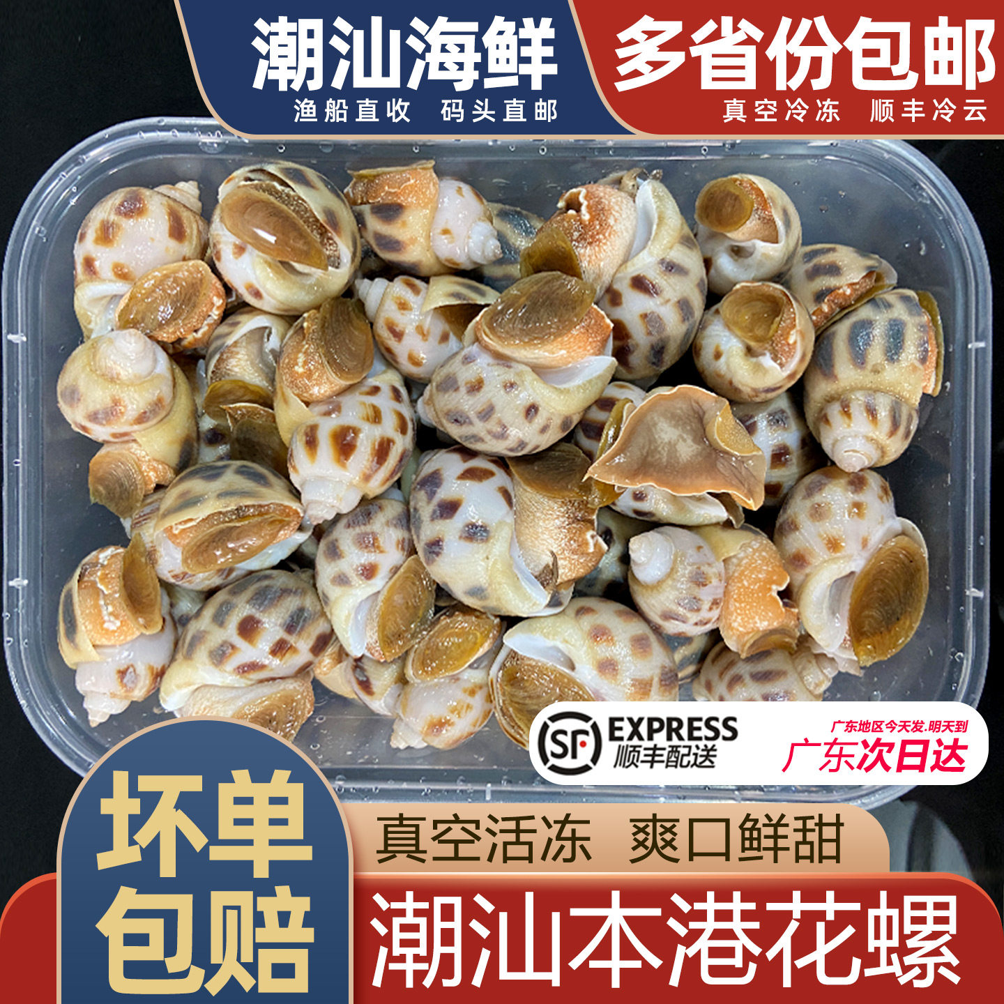 花螺潮汕本港鲜活冷冻新鲜海捕海鲜水产贝类东风螺大凤香螺小海螺