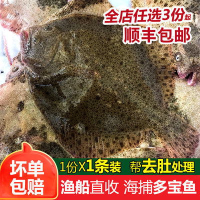 多宝鱼鲜活海鲜水产新鲜石斑鱼比目鱼花岗鱼海鱼每条450-550g