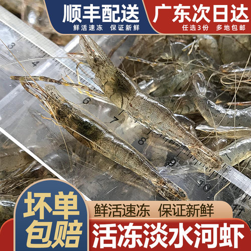 产地直供，淡水小河虾500g