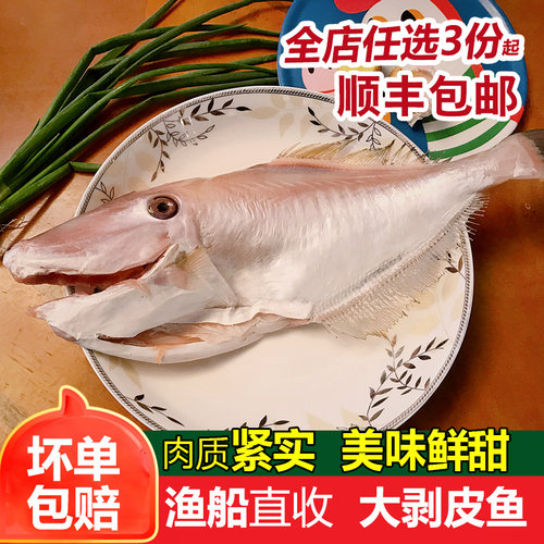 大剥皮鱼马面鱼耗儿鱼扒皮牛新鲜冷冻海鲜海捕海鱼1条1斤左右