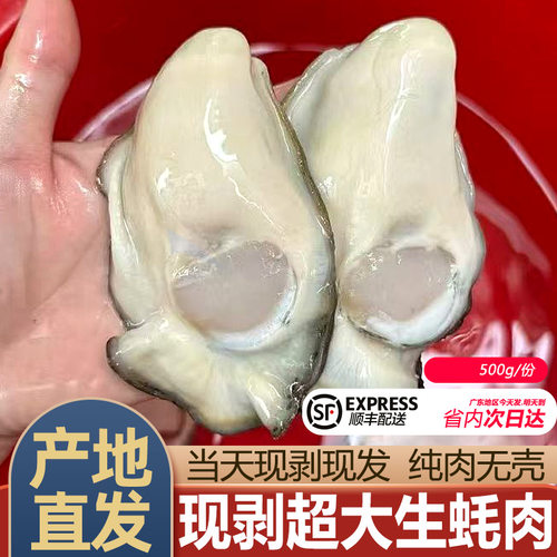 大生蚝肉500g，产地当天现剥现发