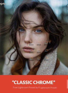 复古Lightroom调色人像Classic Chrome LR预设包PS滤镜Camera Raw