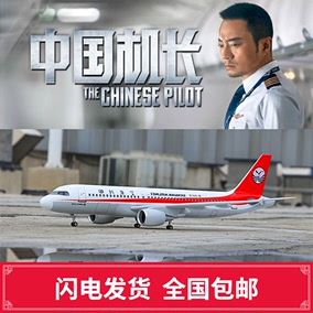 四川8633中国机长同款飞机模型空客A319静态仿真客机航模新年礼物