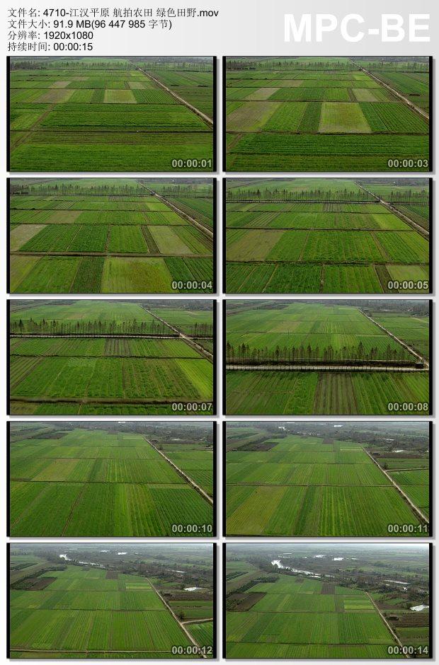 江汉平原航拍农田绿色田野 实拍视频素材