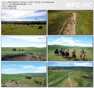 4K航拍草原牧场 牛群奶牛 牧民牧人 骑马驰骋 高清实拍视频素材
