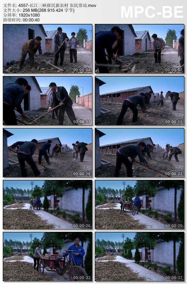 长江三峡移民新农村农民劳动 实拍视频素材