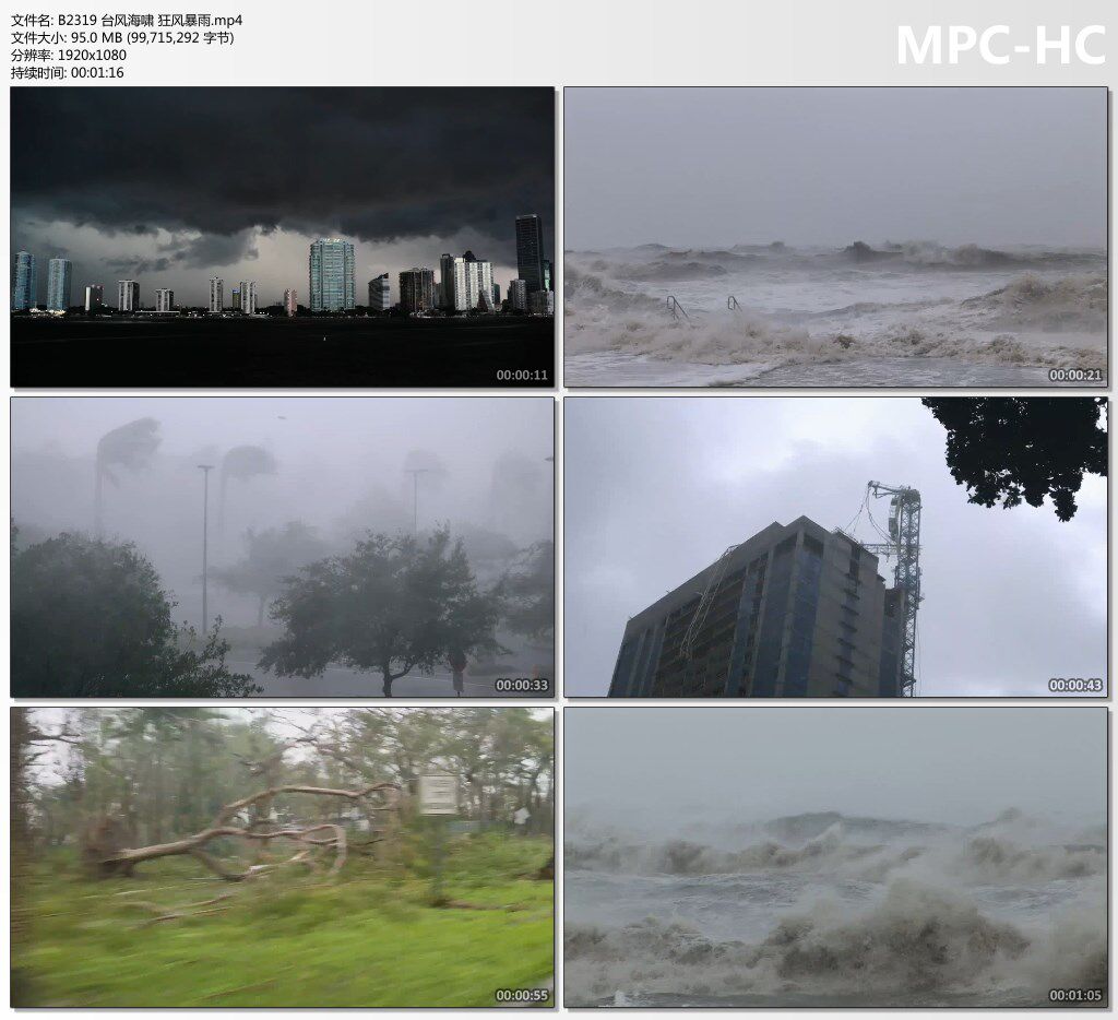 台风海啸狂风暴雨乌云密布城市洪涝水灾温室自然灾害预警视频素材 - 实物图