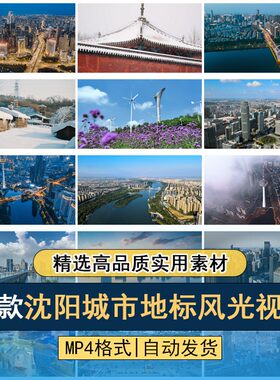 沈阳城市风光地标建筑旅游景区航拍故宫空镜自媒体高清短视频素材
