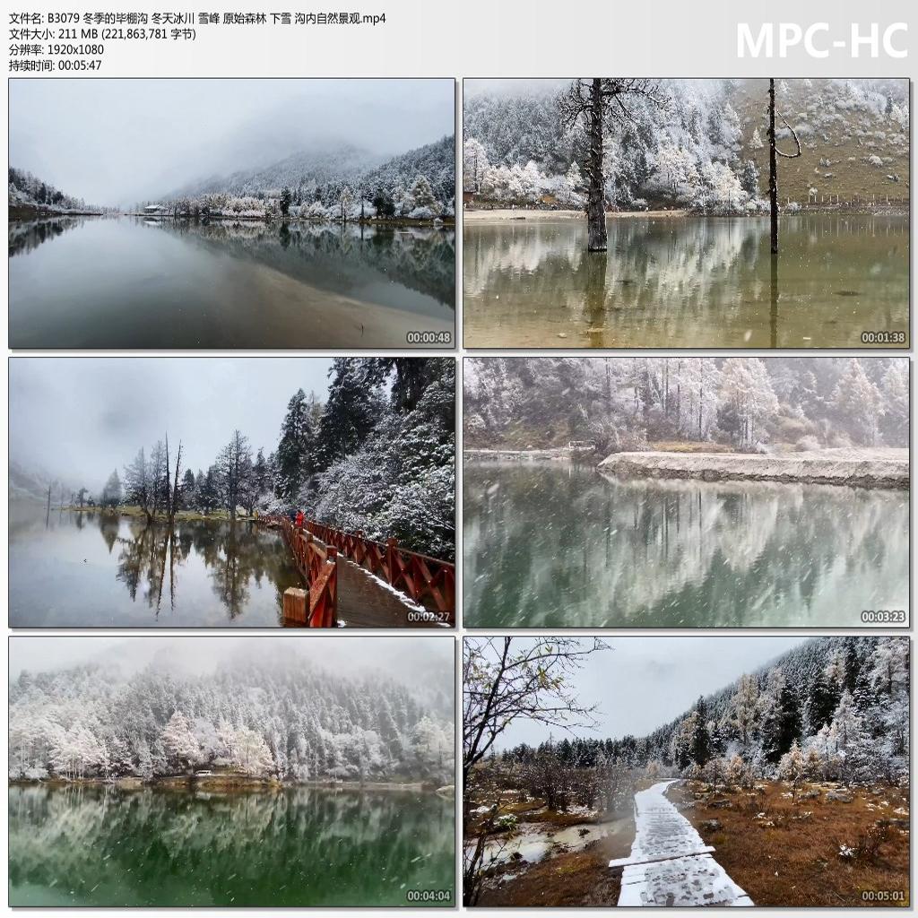 冬季毕棚沟 冬天冰川雪峰 原始森林 下雪 沟内景观高清视频素材