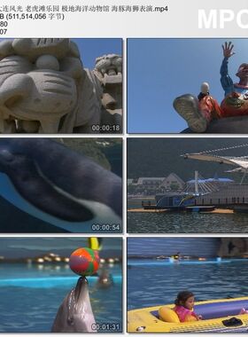 大连风光老虎滩乐园极地海洋动物馆海豚海狮表演高清实拍视频素材