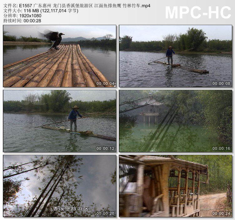 广东惠州龙门县香溪堡旅游区 江面鱼排鱼鹰竹林竹 实拍视频素材