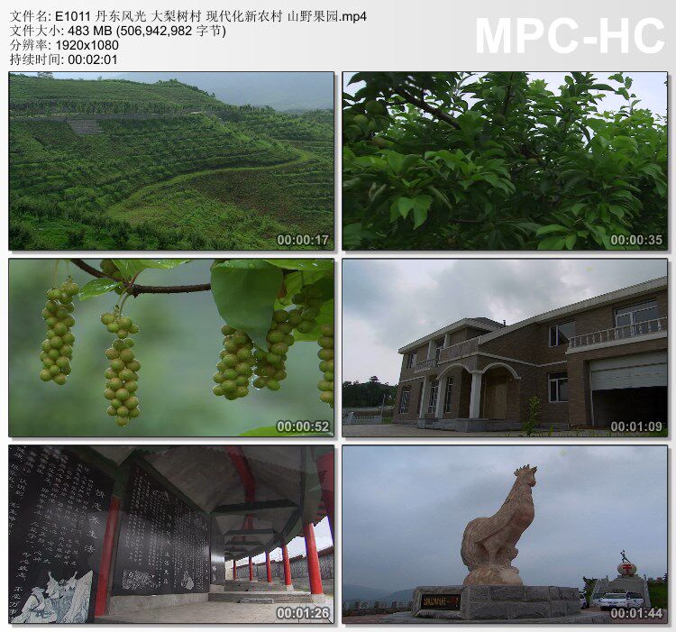 辽宁丹东风光视频 大梨树村 现代化新农村山野果园 实拍视频素材