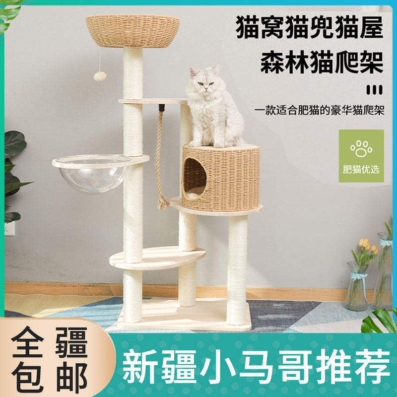 新疆包邮猫爬架凉席高层大型猫咪实木猫窝树一体抓板猫玩具猫跳台