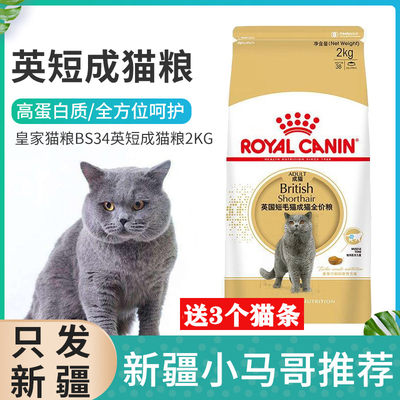 新疆包邮皇家猫粮bs34英国短毛猫