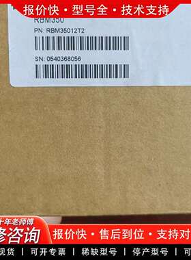 可维修ReBorn睿宝科技真空计，RBM350 100Torr议价