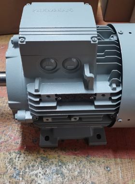 德国西门子进口电机 15KW 4P 1LA7166-4AA61 立式 三相异步电机