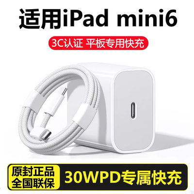 适用苹果iPad平板mini6充电器线