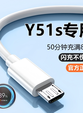 vivoy51s充电器线快充