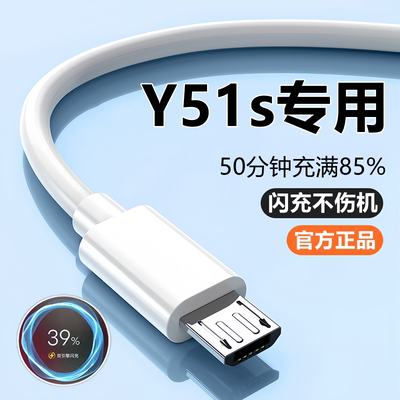 vivoy51s充电器线快充